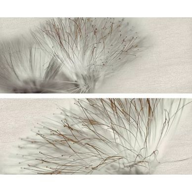 Decor Set (2) Base Acero 20*50 0