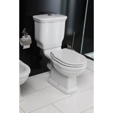 Чаша напольного унитаза BelBagno Boheme (BB115CPR) без бачка и сиденья 6
