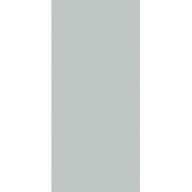 Silver Pulido 120x260 0