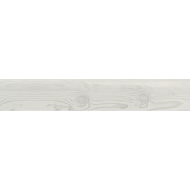 70412 Ash Ret 20x120 0