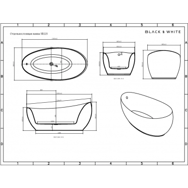 Акриловая ванна Black & White Swan SB225 (180х90) 5