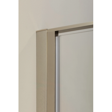 Душевая дверь Allen Brau Priority 120 (3.31032.BA) алюминий браш 6