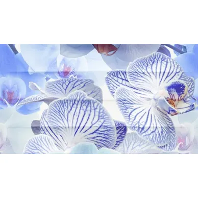 Dec Vanda Panno A 25х45 0