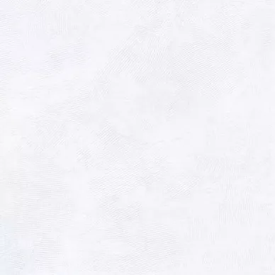 GWF42010 Magnetic Blanco Lappato 60x60 0