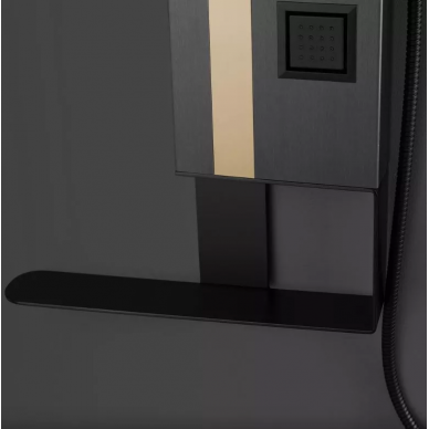 Душевая панель Black & White Gravity GR026 (026000) тёмный графит/брашированное золото 5