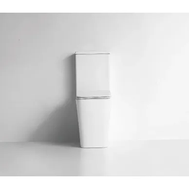 Унитаз напольный CeramaLux (TR2170) (арматура Geberit), с микролифтом 6