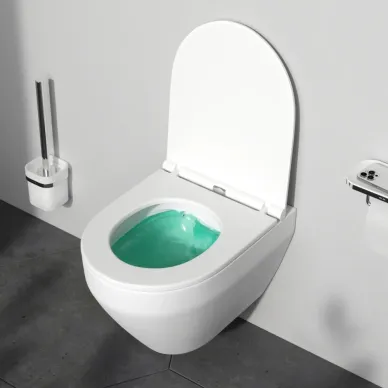 Чаша подвесного унитаза Am.Pm Spirit V2.0 FlashClean (C701700MWSC) безободковый, с микролифтом (белый матовый) 8