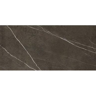 Pietra Grey Polished 6mm 119.3x260 0