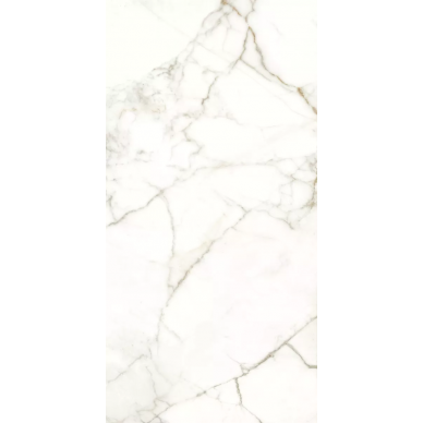 117782 EMOTION LEVIGATO+RETTIFICATO 60x120 0