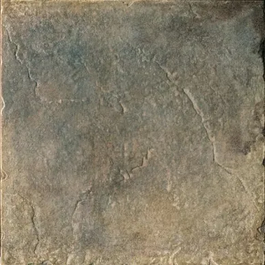 1003874 QUARRY STONE FOREST 31.7x31.7 0