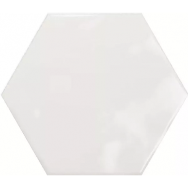 PT03134 Hex White Glossy 15x17,3 0