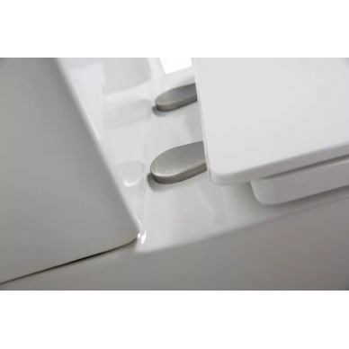 Чаша напольного унитаза BelBagno Lounge (BB045CPR) без бачка и сиденья 6