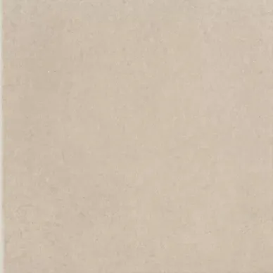1037319 TORTORA LAPPATO 20x20 0