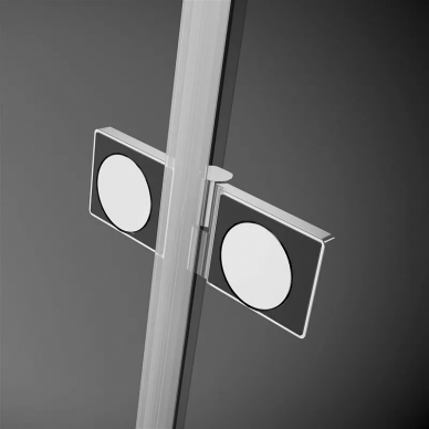 Душевая дверь Radaway Arta (386152-03-01R) (100 см) (R) 6