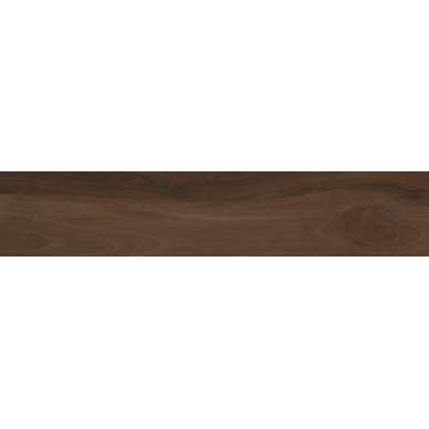 61052 SAVANNA BRANDY RET 20x100 0
