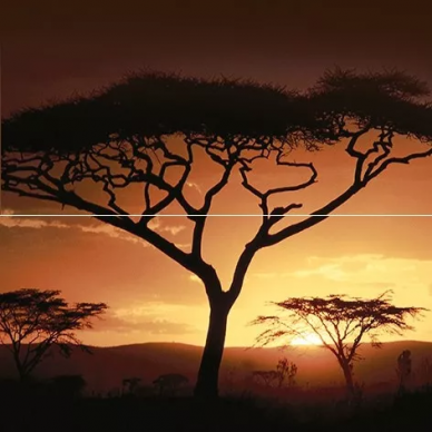 Панно Africa P2-2D210 40х40 0