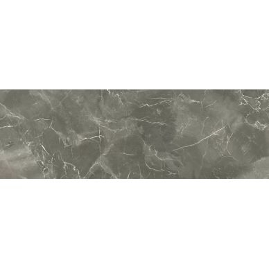 Монако 2 750х250 0