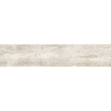 61650 Frost Ret 20x100 0
