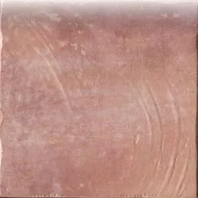 1042484 BULLNOSE ORANGE 10x10 0
