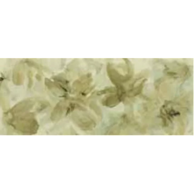 GB24 Bellagio Verde 20*50 0
