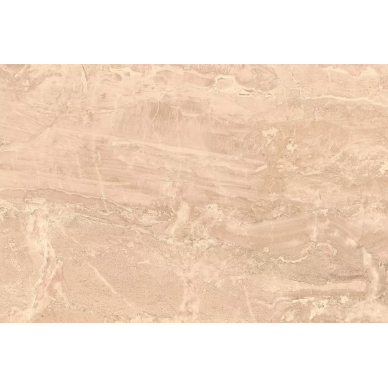 Eilat коричневая (EJN111D) 30x45 0