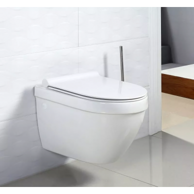 Чаша подвесного унитаза BelBagno Cento-R (BB509CH) 5