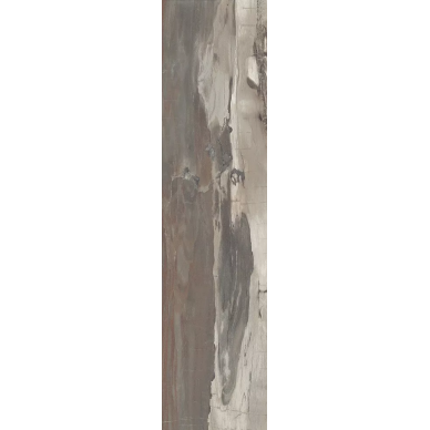 PO2590R Petrified Wood Musk Rett 24,3x99,5 0