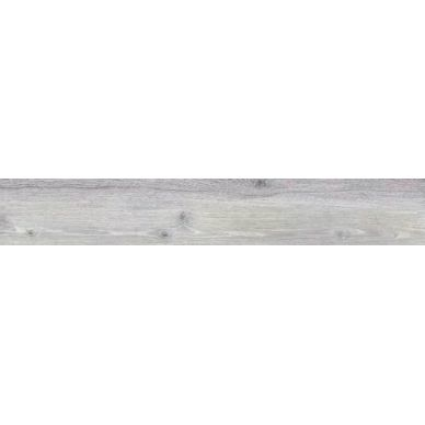 31730 Ash AS 24x151 0