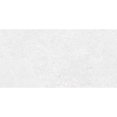 00-00-5-10-00-06-1656 Готик серый 25x50 0