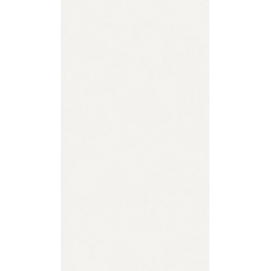 TEX IVORY NATURAL 49.75x99.55 0