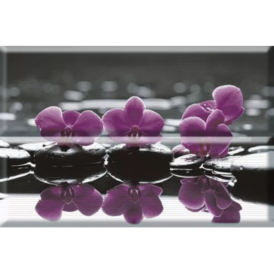 Composicion Wellness 02 Purple 30x45 (комплект 2шт) 0