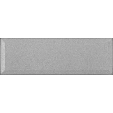 Decor Glass Silver 10X30 0