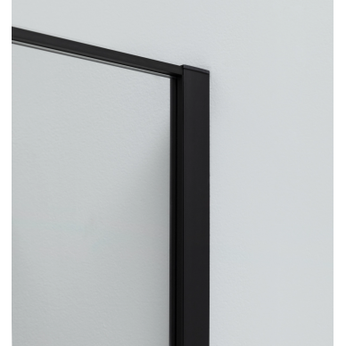 Душевая дверь Allen Brau Priority 160 (3.31039.BBA) черный браш 5