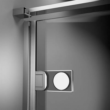 Душевая дверь Radaway Arta (386083-03-01R) (100 см) (R) 5