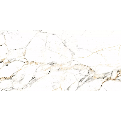 20388 TUCCI GOLD 60x120 0