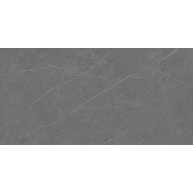 C229801491 Xlight Liem Grey Polished 120x250 0