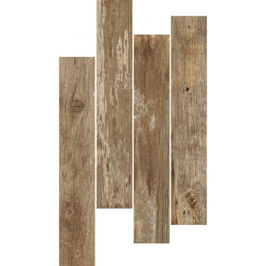 Speria nature 10x60 0