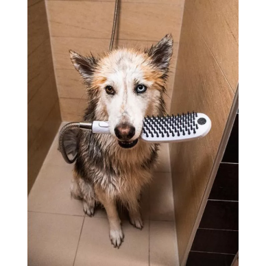 Ручной душ Hansgrohe DogShower (26640560) для собак, розовый 7