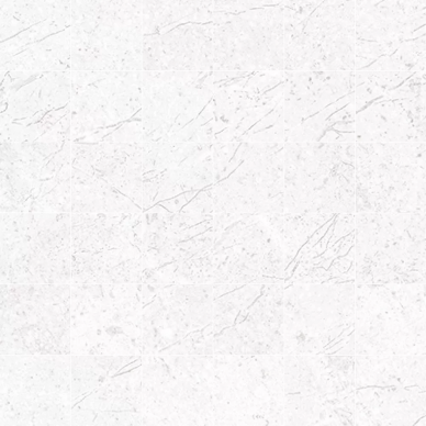 29182 D.ALPINE WHITE MOSAIC AS/30X30/C 0