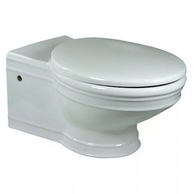 Чаша подвесного унитаза Villeroy & Boch Amadea (7C96B0R1) 3