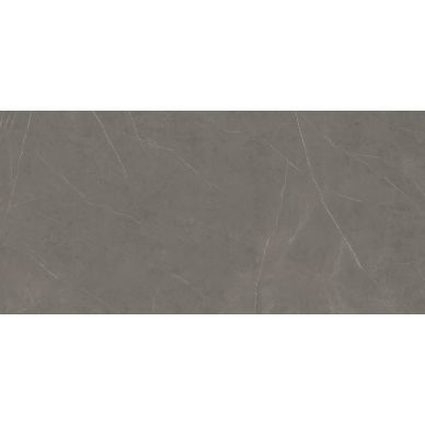 C279018521 Xlight 150x300 Liem Grey Polished (6 мм) 0