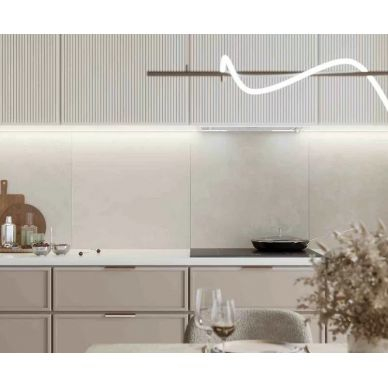 Evolution Blanco 1