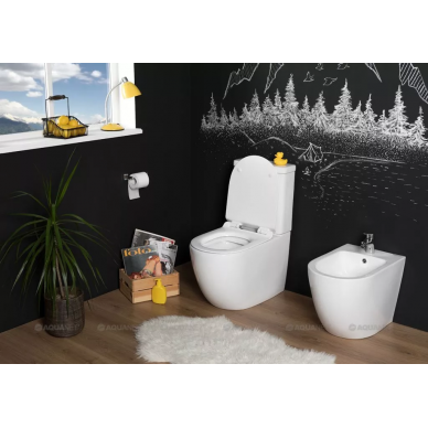 Чаша для напольного унитаза Aquanet Rimless Cetus (BL-102N-TPT) микролифт 6