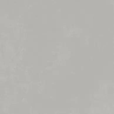 21891 PLANET SILVER/60.7X60.7/A/R 60.7x60.7 0