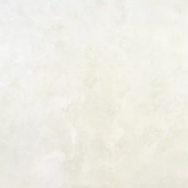 Evolution Ivory Natural 59.55x59.55 0
