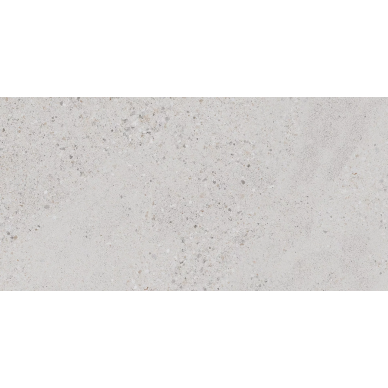 28545 LAKESTONE DOLPHIN AS/60X120/C/R 0
