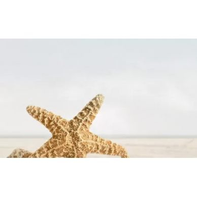 В41331 Саммер Стоун бежевый декор Holiday 3 25x40 0