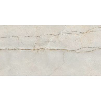 Monro Grey серый 60x120 0