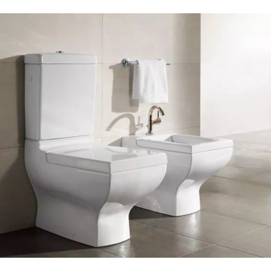 Биде напольное Villeroy & Boch La Belle (544700R1) 2