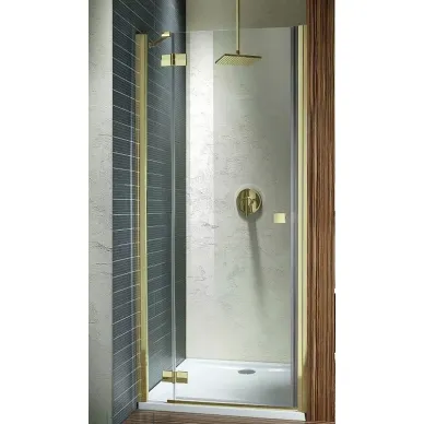 Душевая дверь Radaway Almatea Gold DWJ (31212-09-01N) (110 см) прозрачное стекло (L) 0